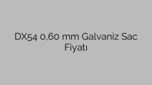 DX54 0,60 mm Galvaniz Sac Fiyatı