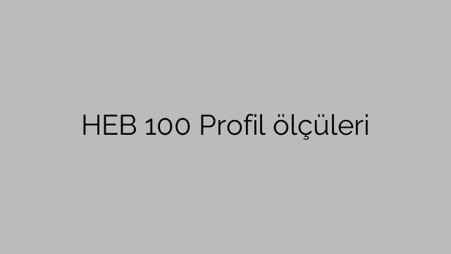 HEB 100 Profil  ölçüleri