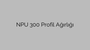 NPU 300 Profil Ağırlığı