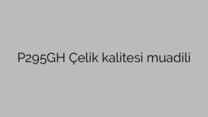 P295GH Çelik kalitesi muadili
